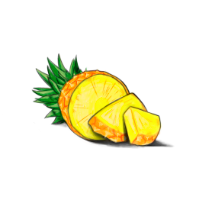 Illustration of pineapple